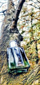 Impact Pour Un Homme Caron