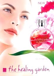 In Bloom The Healing Garden