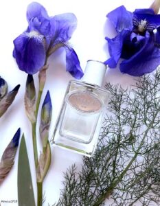 Infusion d’Iris Prada