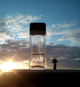 Intrusion Oscar de la Renta