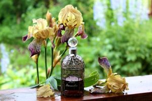 Iris Ganache Guerlain