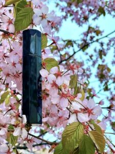 Iris Silver Mist Serge Lutens