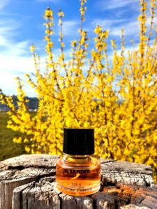 Jil Sander No. 4 Jil Sander