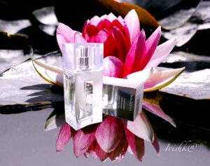 Jil Sander Pure Jil Sander