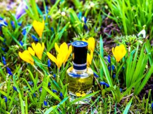 Kate Summer Time Kate Moss