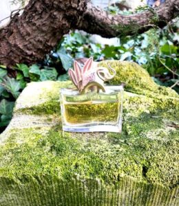 Kenzo Jungle le Tigre Kenzo