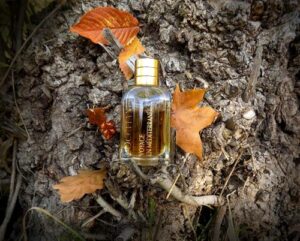 Labdanum de Seville L’Occitane en Provence