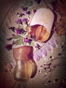 Le Jardin Max Factor