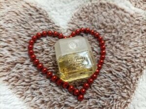 Le Temps D’Aimer Alain Delon