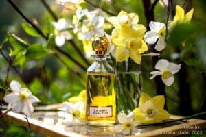 Le Temps d’une Fête Nicolai Parfumeur Createur