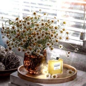 Les Exclusifs de Chanel Cuir de Russie Chanel