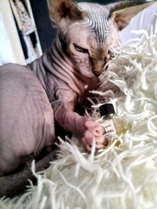 Les Exclusifs de Chanel Sycomore Chanel