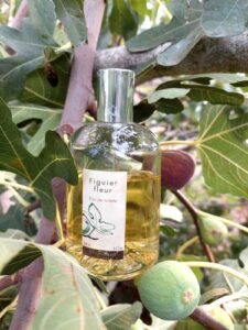 Les Naturelles: Figuier fleur Fragonard