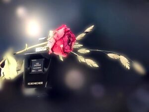 Les Zazous Keiko Mecheri