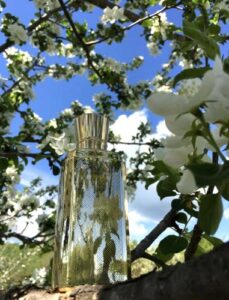 Lobogal Pour Elle Lobogal