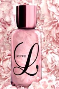 Loewe L Loewe
