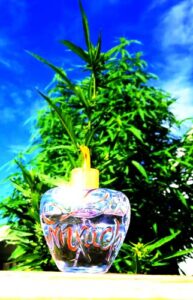 Rendez-Vous de Minuit Midnight Rendez-Vous Lolita Lempicka