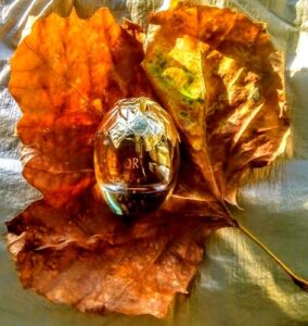 L’Or Intense Torrente