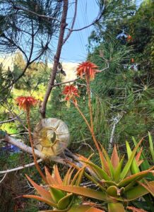 Louis Feraud Louis Feraud