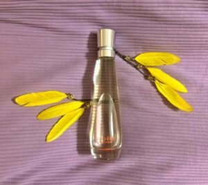 Lumiere (2000) Rochas
