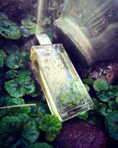 Maestrale Profumi di Pantelleria