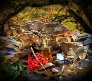 Magie Noire Lancôme