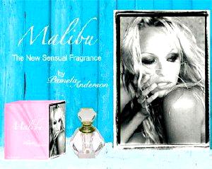 Malibu Night Pamela Anderson