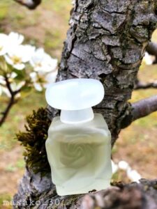 Messages Mariella Burani