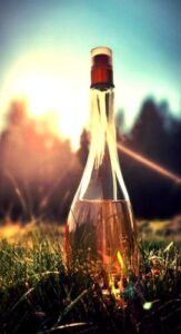 Miami Glow Jennifer Lopez