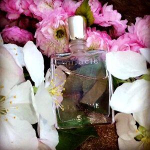 Escada Sentiment Escada