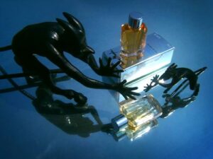 Mirror Mirror Collection – Miroir des Envies Mugler