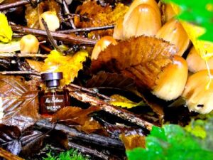 Miss Balmain Pierre Balmain