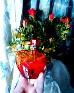 Miss Sixty Rock Muse Miss Sixty