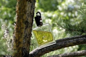 Modern Chypre Esteban