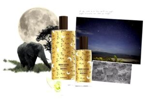 Moon Safari Memo Paris