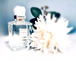 Mulholland Keiko Mecheri