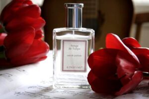 Multiflor Line Songe de Tulipe Il Profvmo