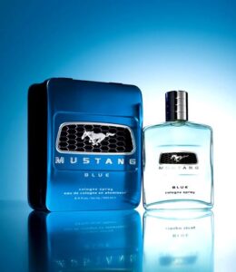 Mustang Blue Mustang