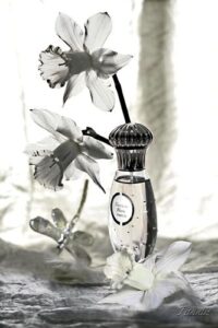 Narcisse Blanc Caron