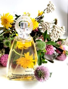 Nazareno Nazareno Gabrielli