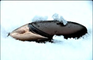 Neonatura Cocoon Yves Rocher