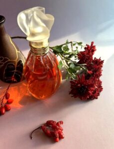 Nicole Miller Nicole Miller