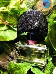 Night of Fancy Anna Sui