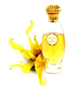 Nocturnes de Caron Caron