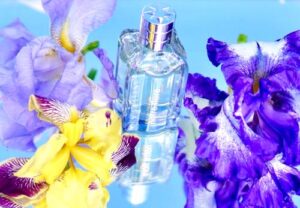 Notre Flore Iris L’Occitane en Provence