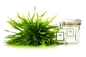 Nu Green Honore des Pres