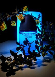 Obsession Night Woman Calvin Klein