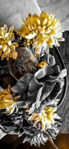 Ombre Rose L’Original Jean Charles Brosseau