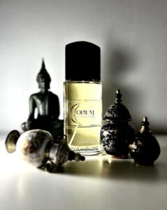 Opium Pour Homme Yves Saint Laurent