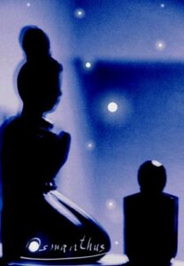 Osmanthus Keiko Mecheri